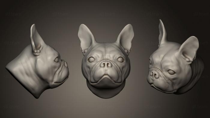 3D model bulldog (STL)